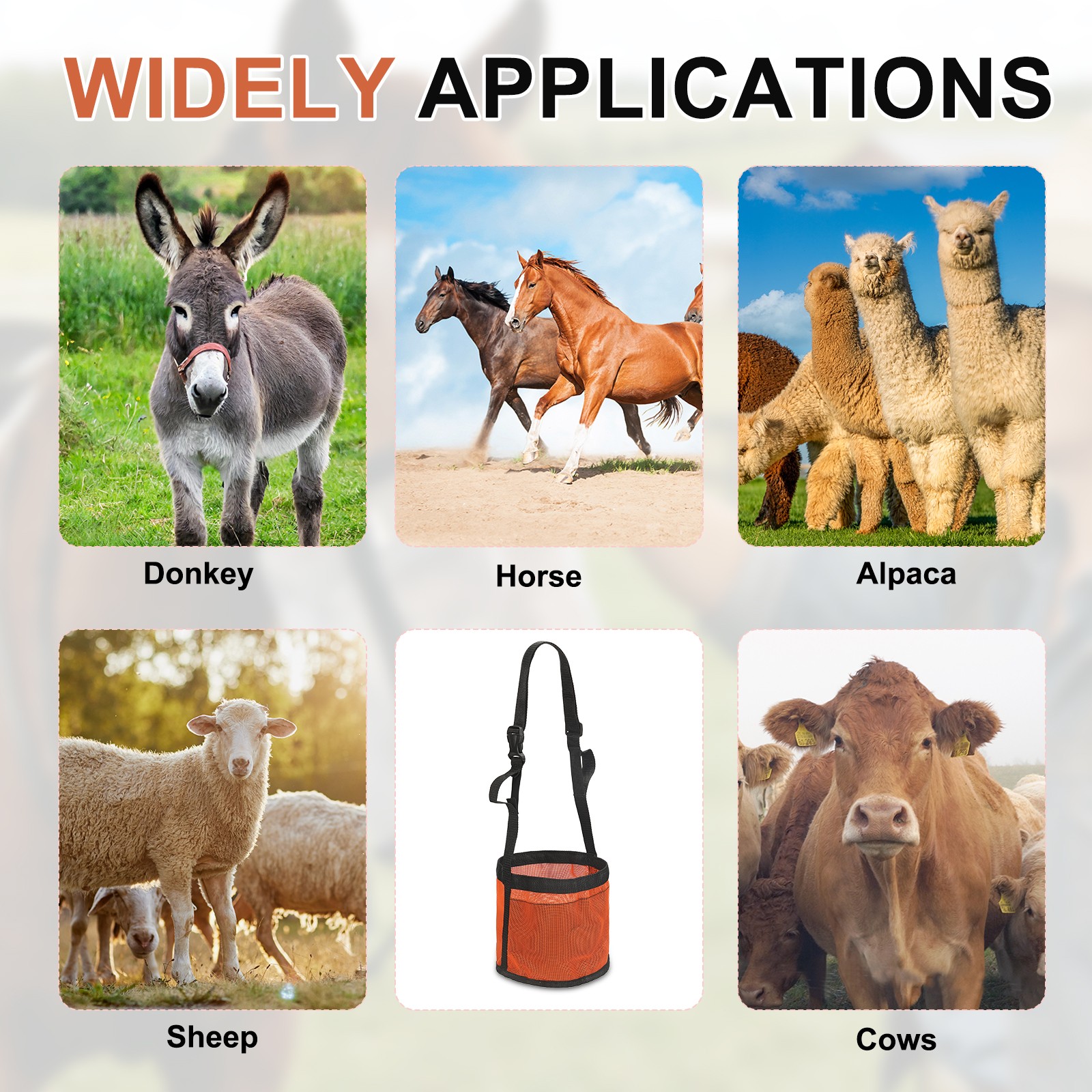 Horse Feed Bag Orange S Intended for Horse Feeding Grain