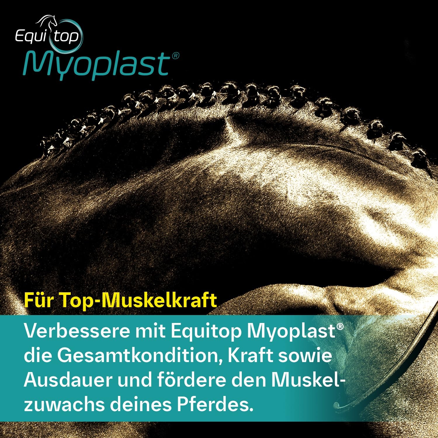 Myoplast Supplement for Horses 1.5kg
