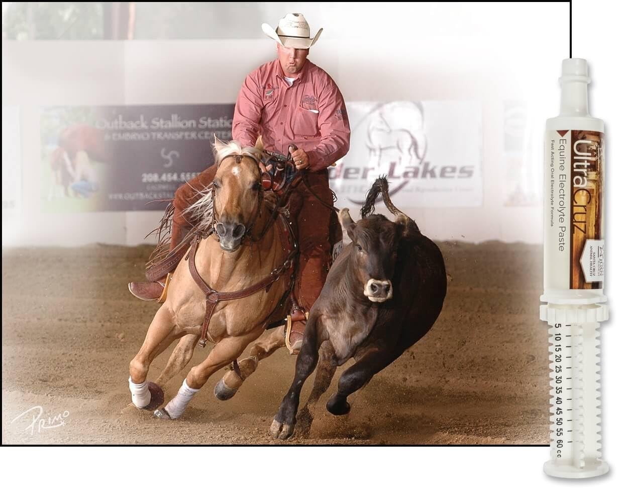 UltraCruz sc-516041 Equine Electrolyte Supplement for 60, Tan/Light Brown