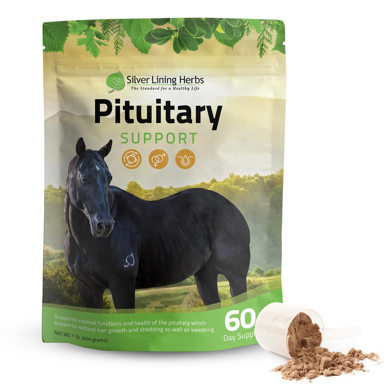 Pituitary Support for Horses – Equine for Pituitary, Endocrine & Metabolic Su…