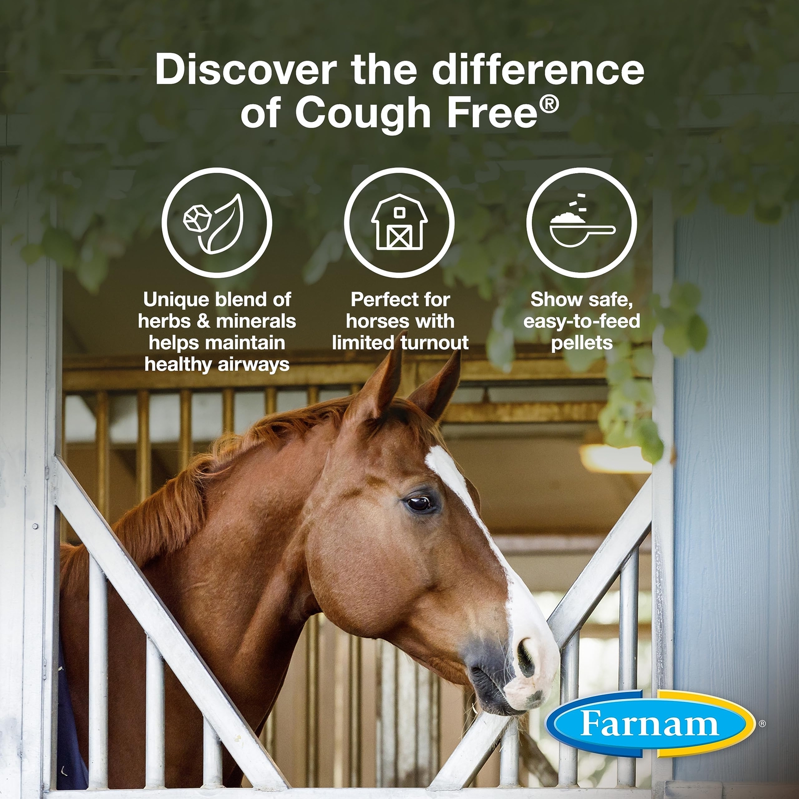 Farnam Cough Free Horse Supplement Pellets Provides Respiratory
