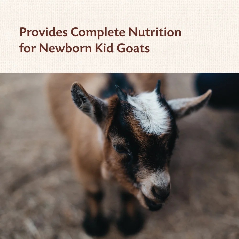 Fresh Goat Colostrum Powder for Newborn Kids 8 oz Natural Immune Support