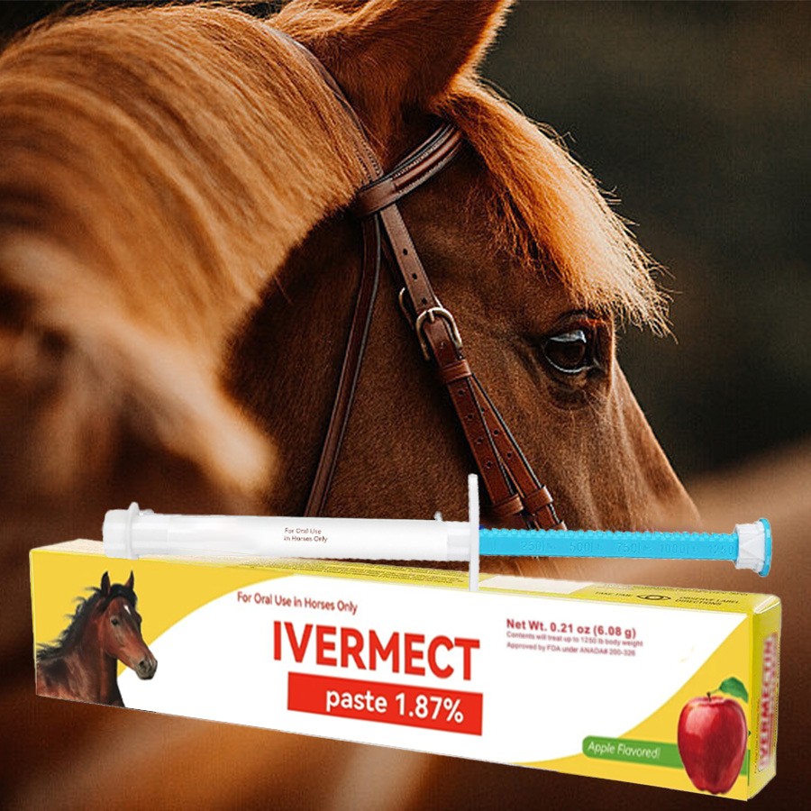 12 Pack New Paste Wormer Horse Dewormer Apple Flavor US Free Shipping EXP 1/2028