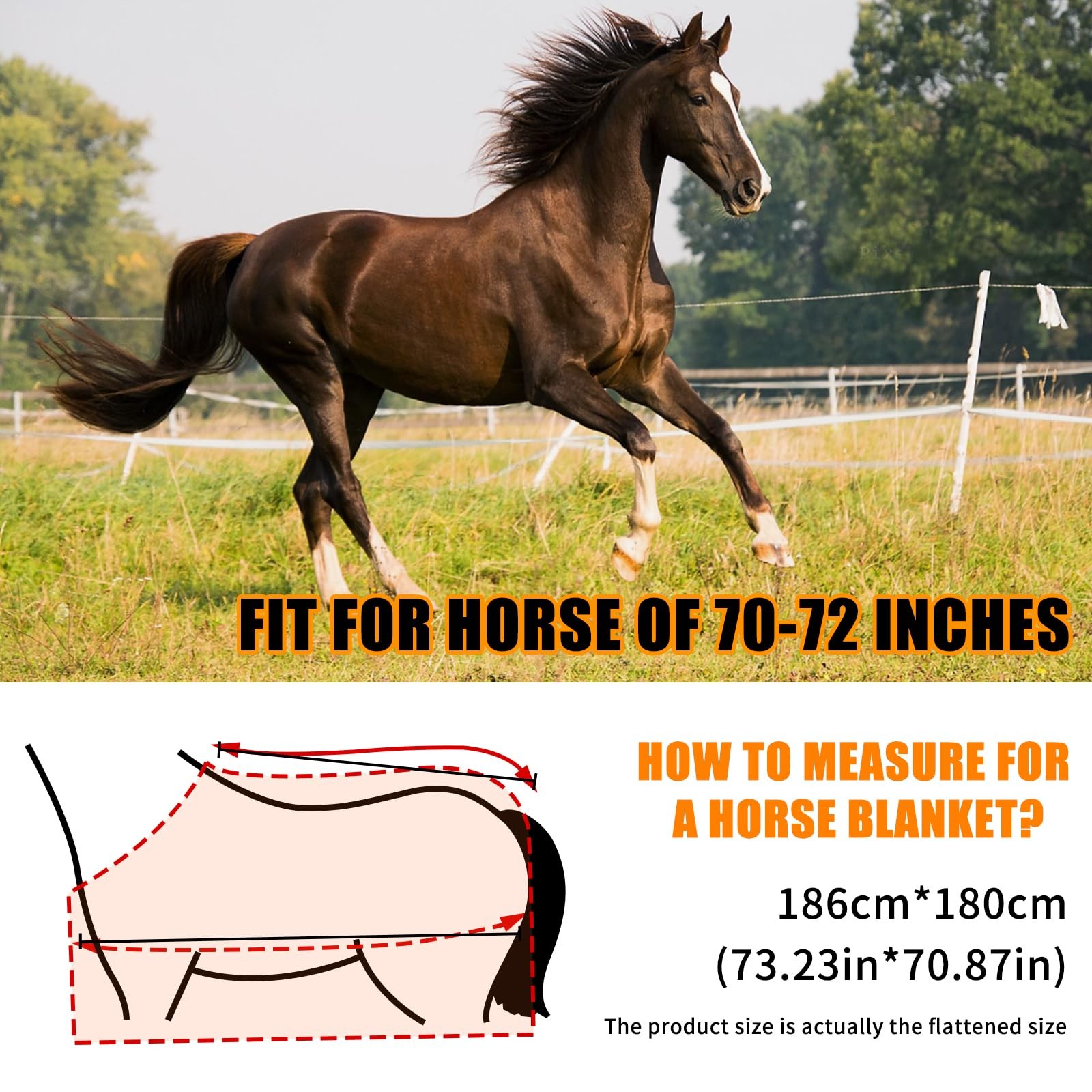 Horse Fly Sheet Breathable, Micro Mosquito Mesh with Adjustable Straps, Light…