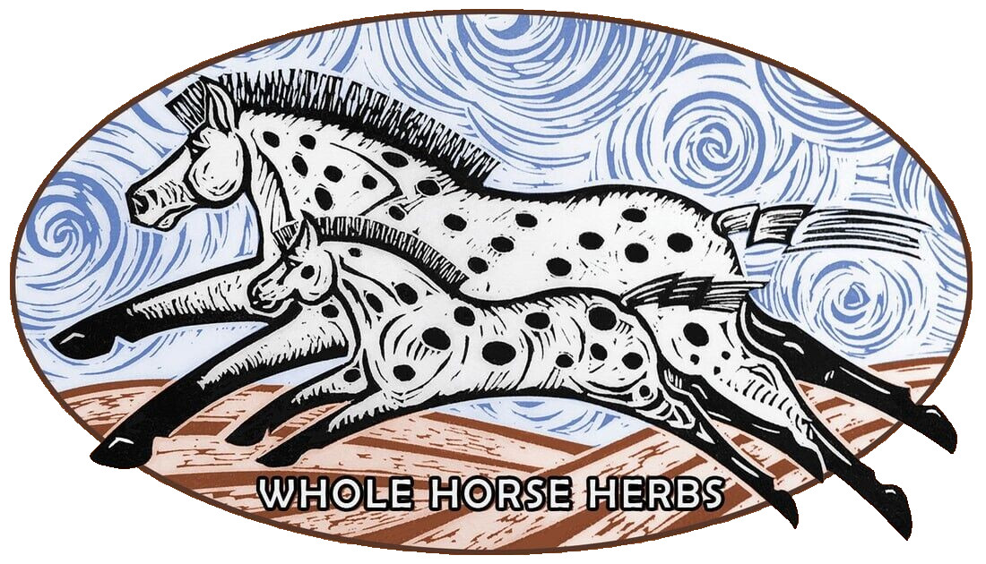 Whole Horse Equine Herbal Digestive Aid Supplement