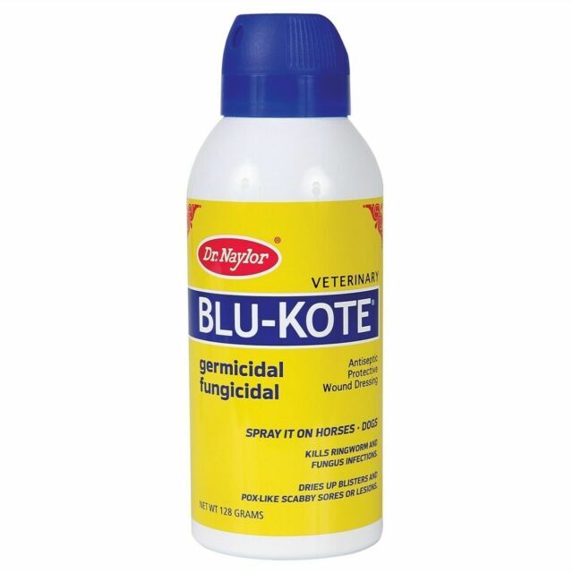 Dr. Naylor BLU-KOTE Fast-Drying Antiseptic Wound Dressing Spray – 4.3 fl oz