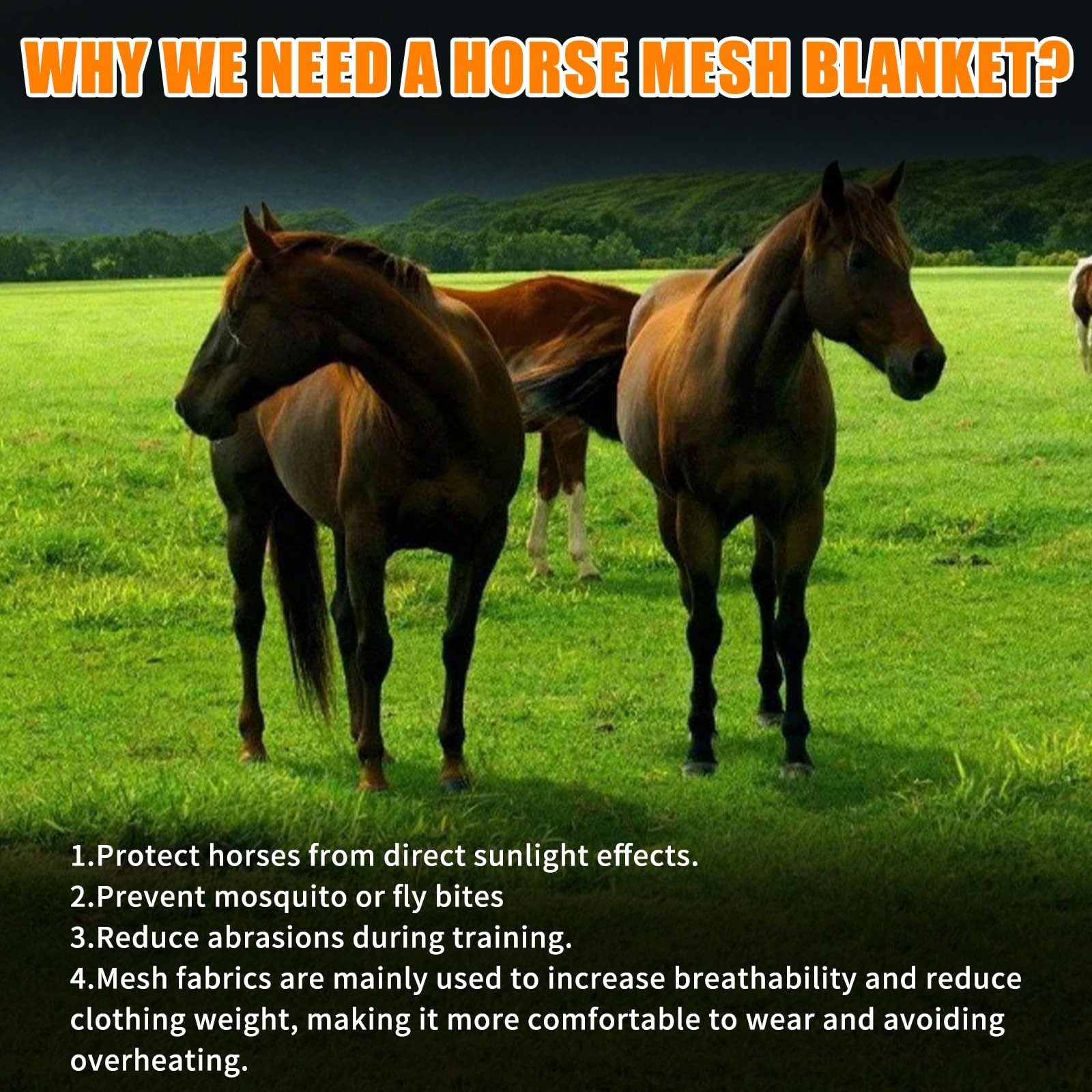 Horse Fly Sheet Breathable, Micro Mosquito Mesh with Adjustable Straps, Light…