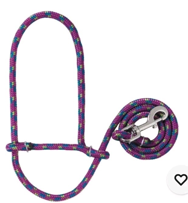 Weaver Leather Poly Rope Sheep Goat Halter with Snap, Teal/Raspberry/Lime