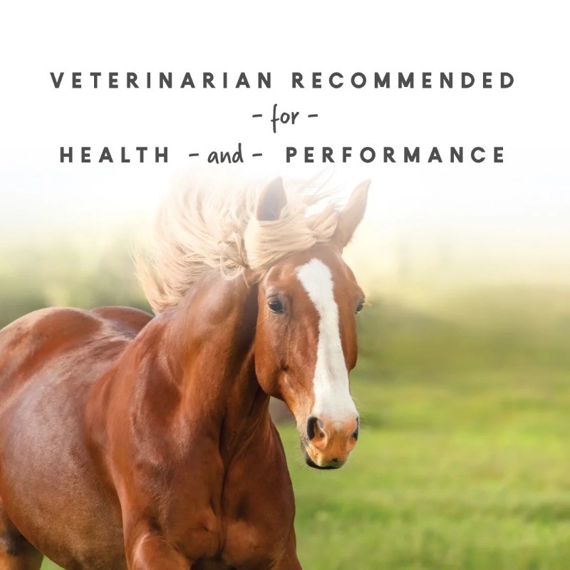 Manna Pro Sho Glo for Horses, Complete Vitamin and Mineral Supplement, 5 lbs