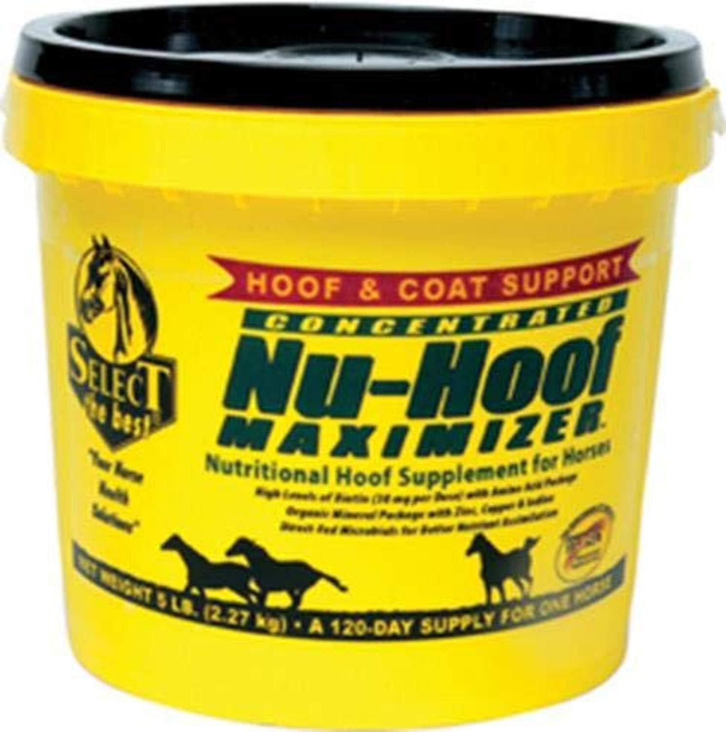 Nu Hoof Maximizer 5 lb Hoof Coat Support for Horses Multicolored Nutrient Blend