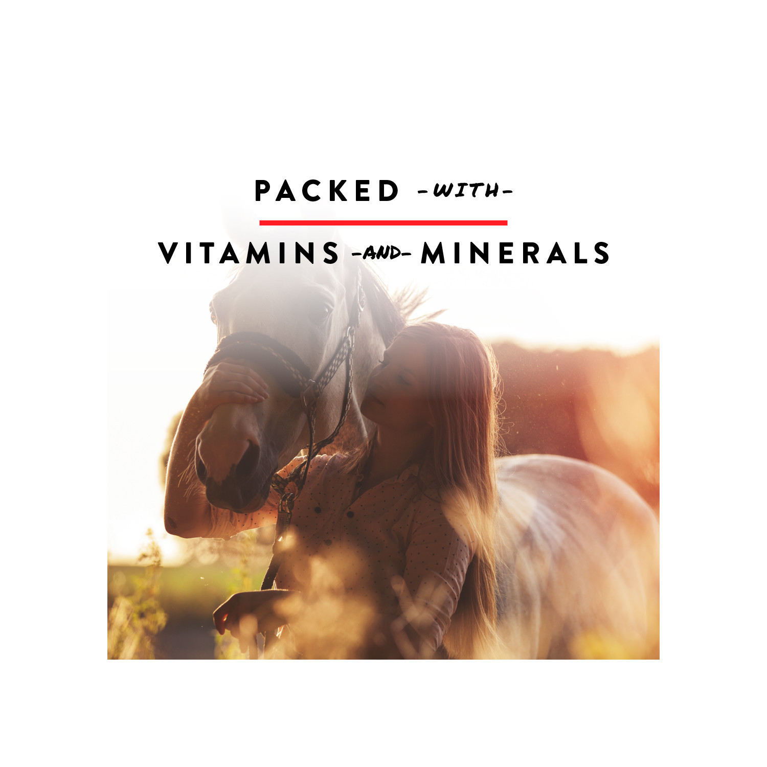 Horse Treats Bite-Size Nuggets Apple Flavor 4 lbs Vitamins 3 Pack