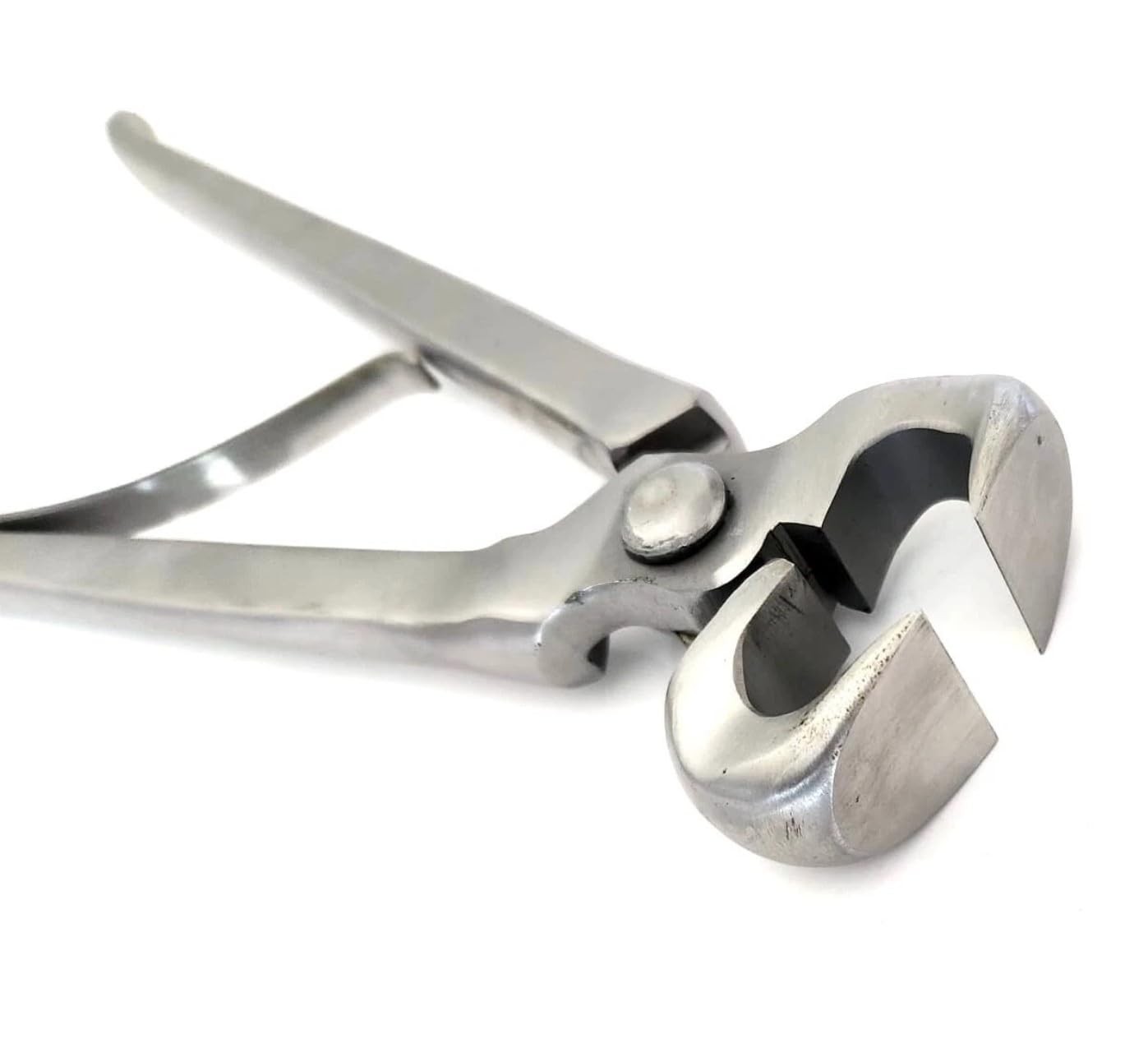 12″ Spring-Loaded Hoof Nipper with Carrying Case – Ergonomic Farrier Tools & …