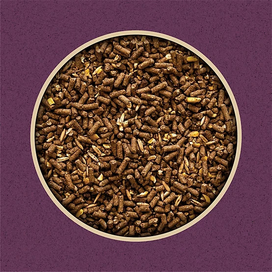 Producer’s Pride 12% Sweet Textured Livestock Feed 50 lb Bag Horses Cattle Goats