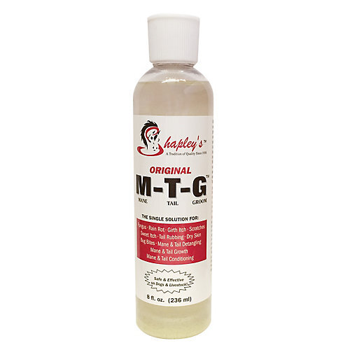 Shapley’s Shapleys Original M-T-G