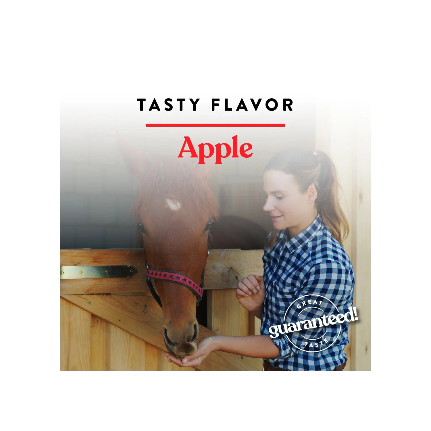 Horse Treats Bite-Size Nuggets Apple Flavor 4 lbs Vitamins 2 Pack