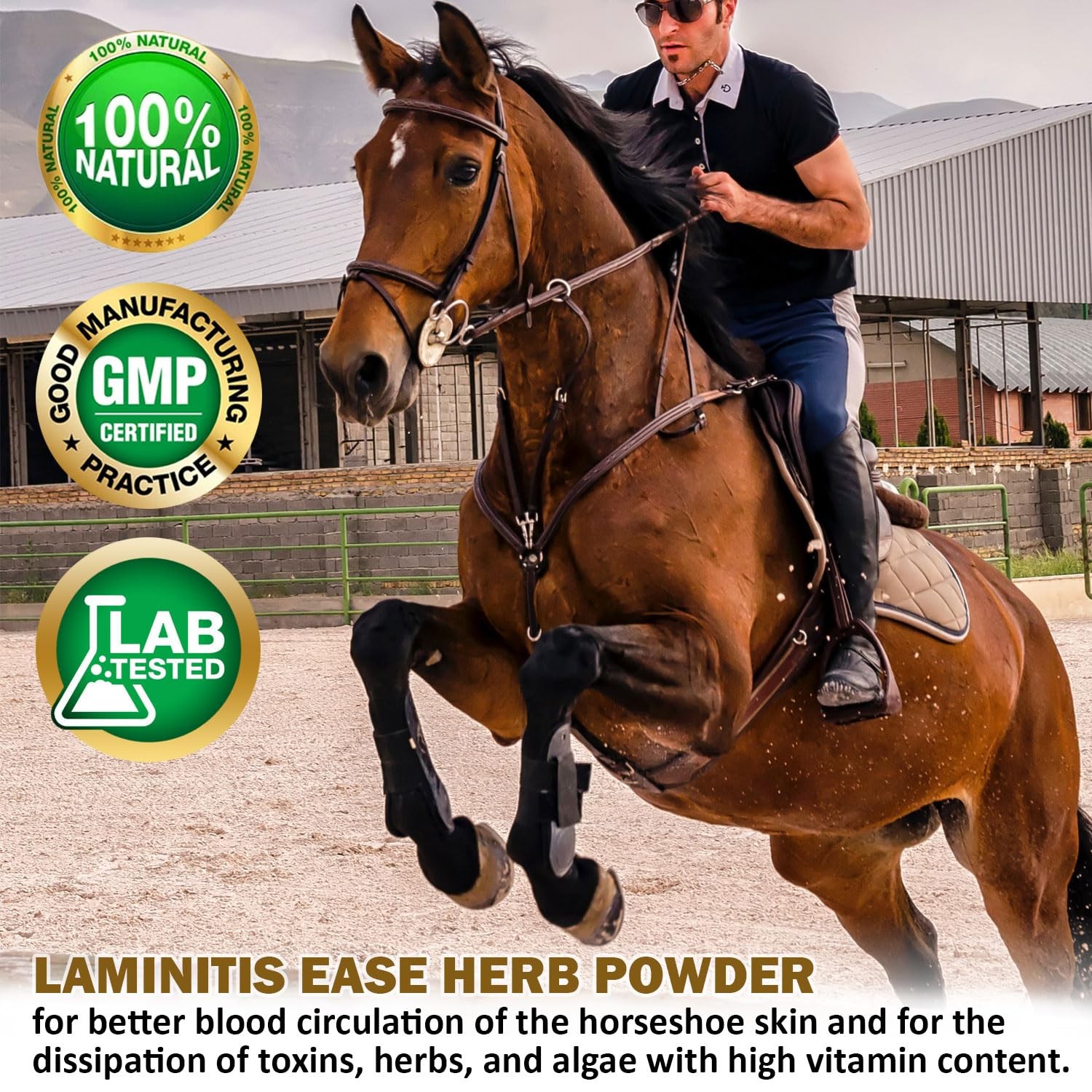 V-POINT – Laminitis Ease – hoof Supplements for Horses – Horse hoof Care Prod…