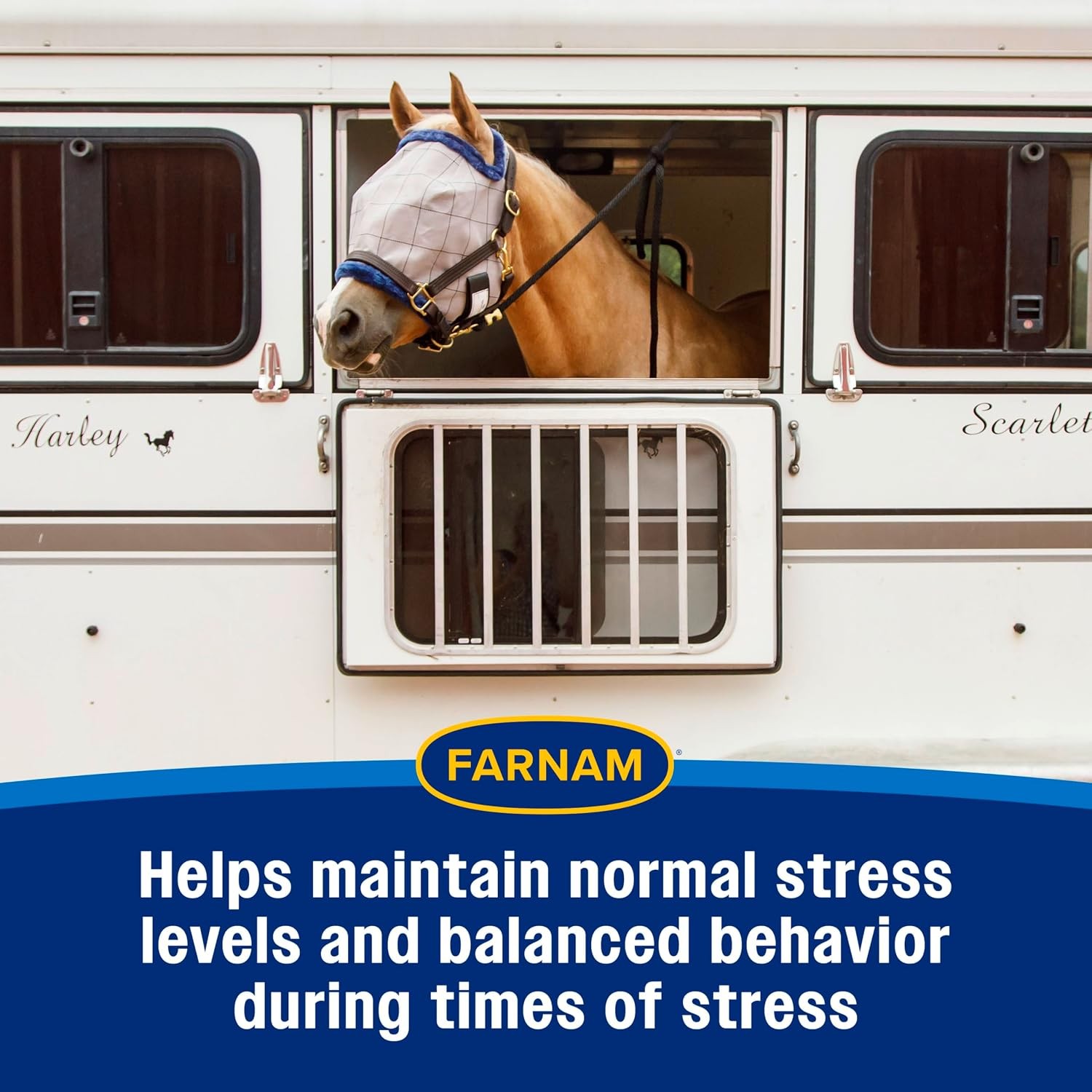 Farnam Quietex II Horse Calming Paste 32.5 ml Syringe Manage Horse Nervous
