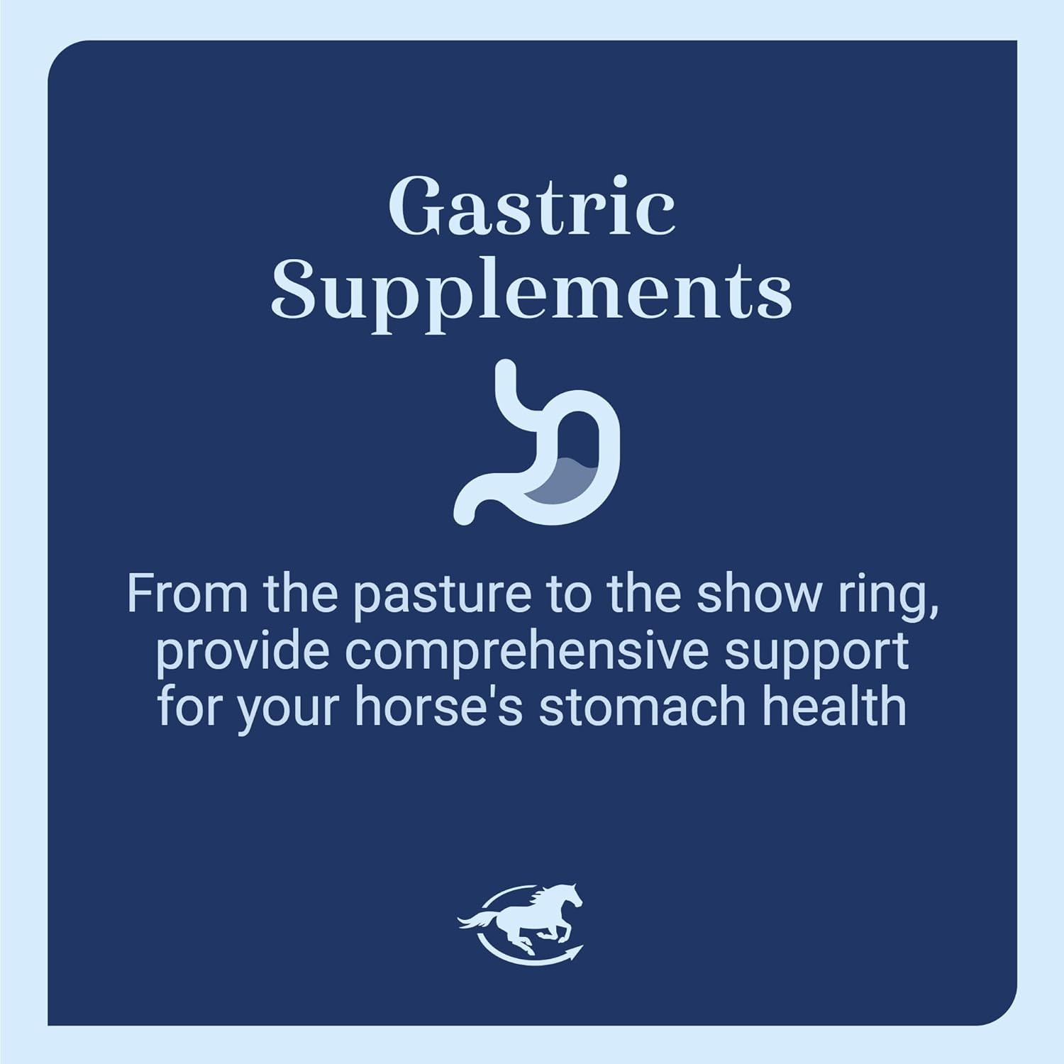 Gut™ Powder | Healthy Gut Probiotics for Horses | Equine Prebiotic & Probiotic P