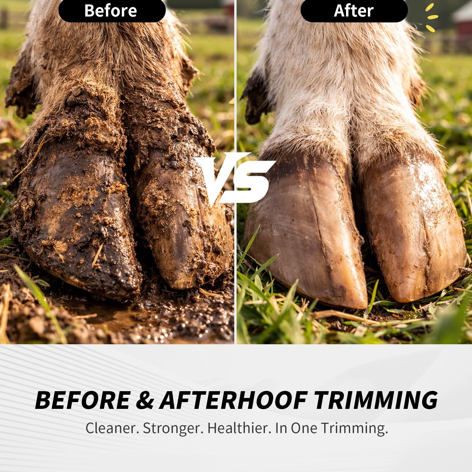 Goat Hoof Trimmers, Sheep Shears, Hoof Kit, Farrier Tools, Nippers, Horse Gro…