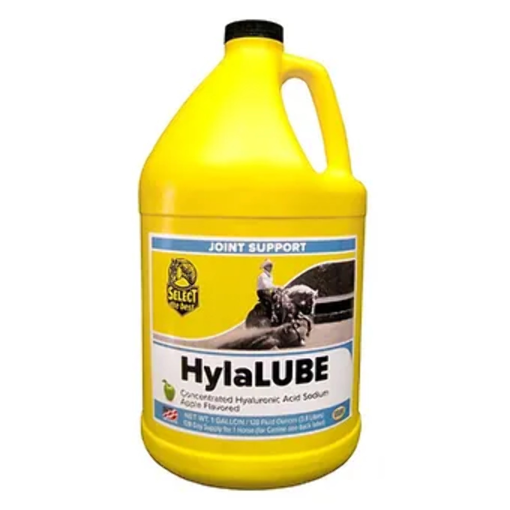 New! HylaLUBE JOINT SUPPLEMENT For horses and dogs Gallon w/ pump Healthy joints