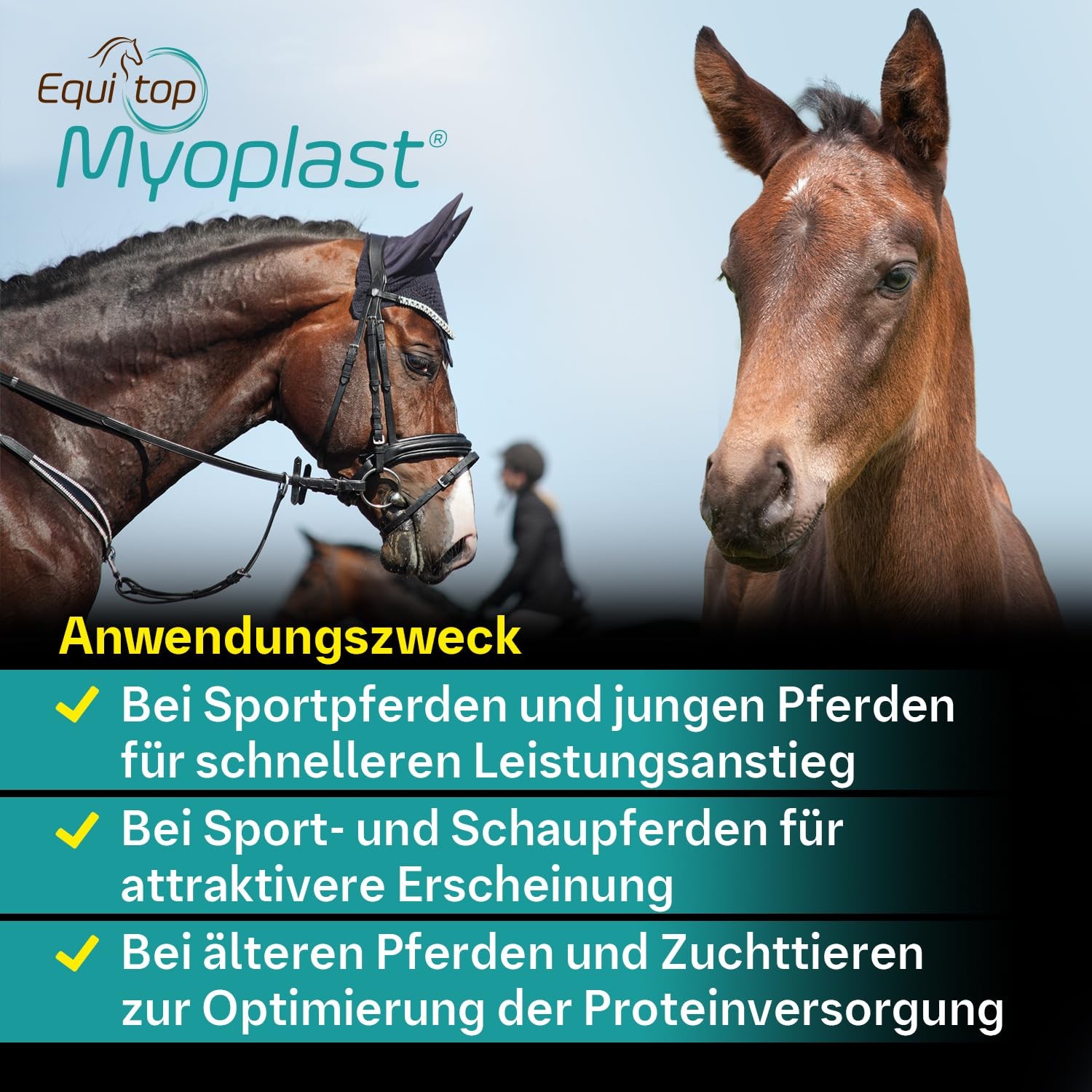 Equitop Myoplast Supplement for Horses 1.5kg