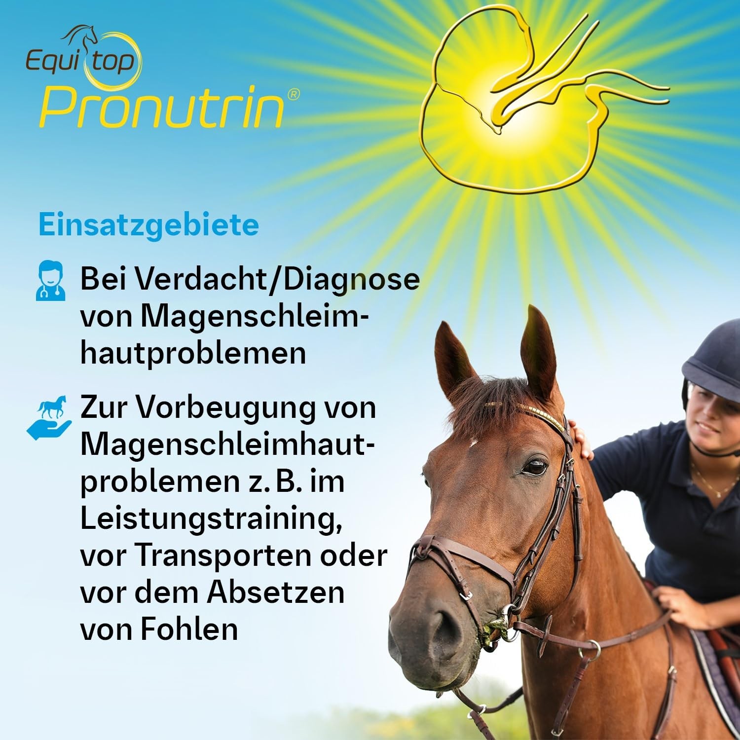 Pronutrin Stomach Protection Pellets for Horses 3.5kg