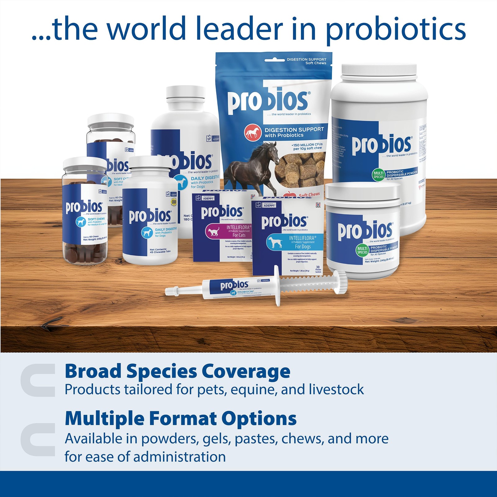 Probios for Horses Soft Chews, Daily Probiotic 1.32 Pound (Pack of 1), Brown