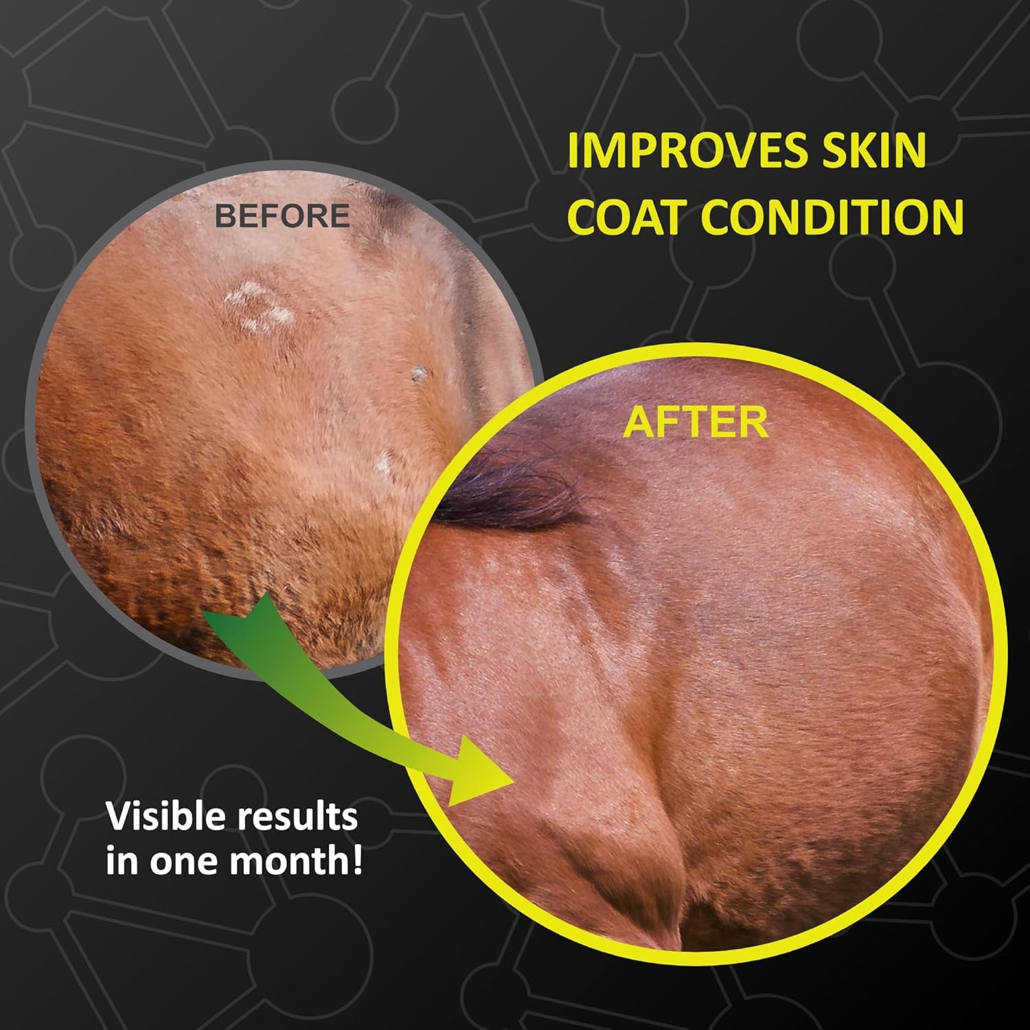 GastroMend XC, 100% Natural Equine Stomach XC – 30 day supply