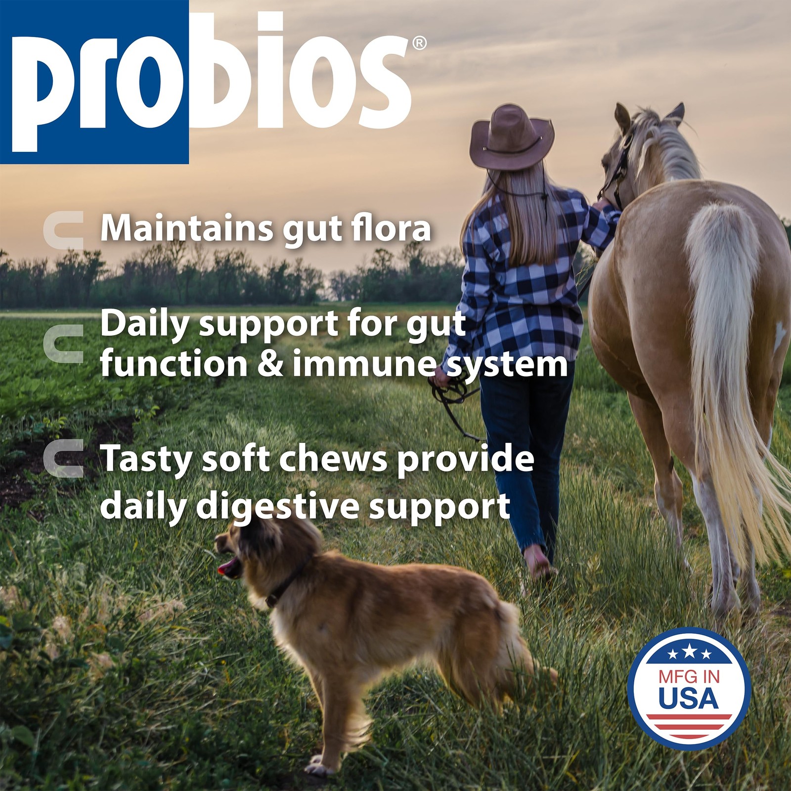 Probios for Horses Soft Chews, Daily Probiotic 1.32 Pound (Pack of 1), Brown