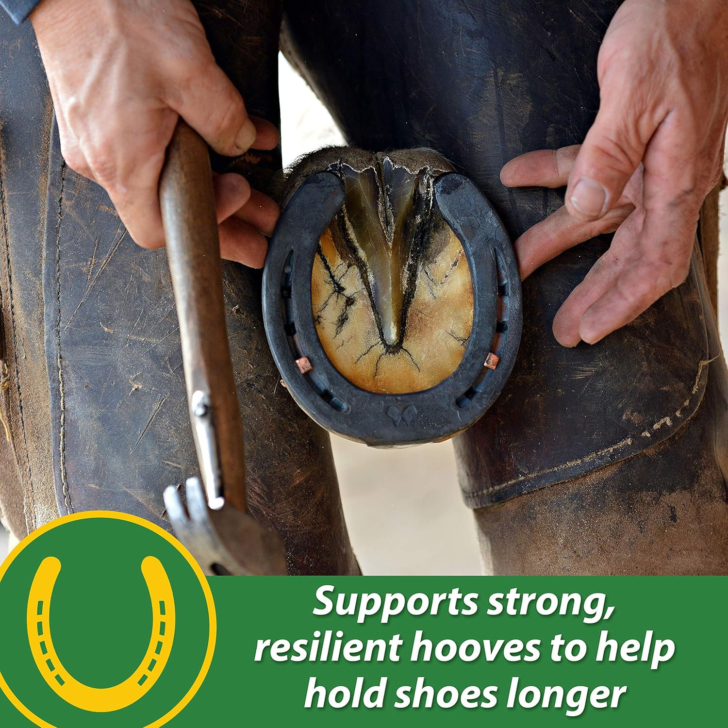 HB 15 Hoof Supplement, Supports Healthy Hoof Growth 3 Pound, 48 Day Supply