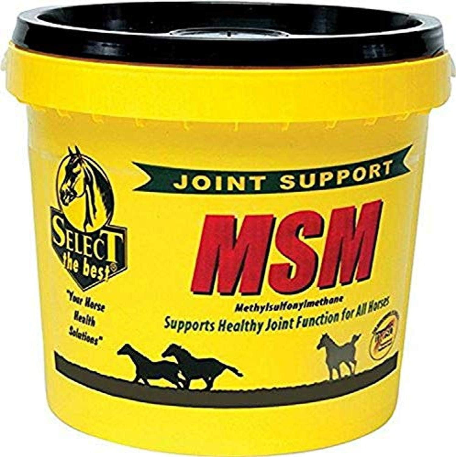 784299402003 Msm Powder Joint Support for Horses, 20 Lb