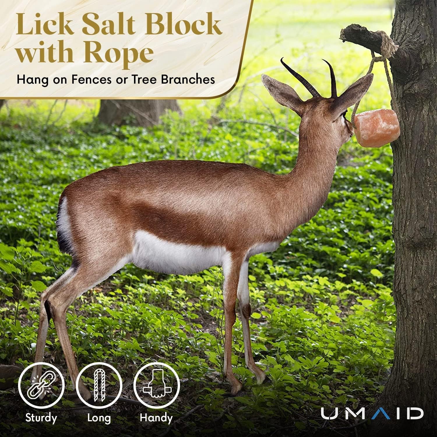 Himalayan Salt Lick 6 lbs on Rope for Horses Deer Goats Livestock 2 Pack