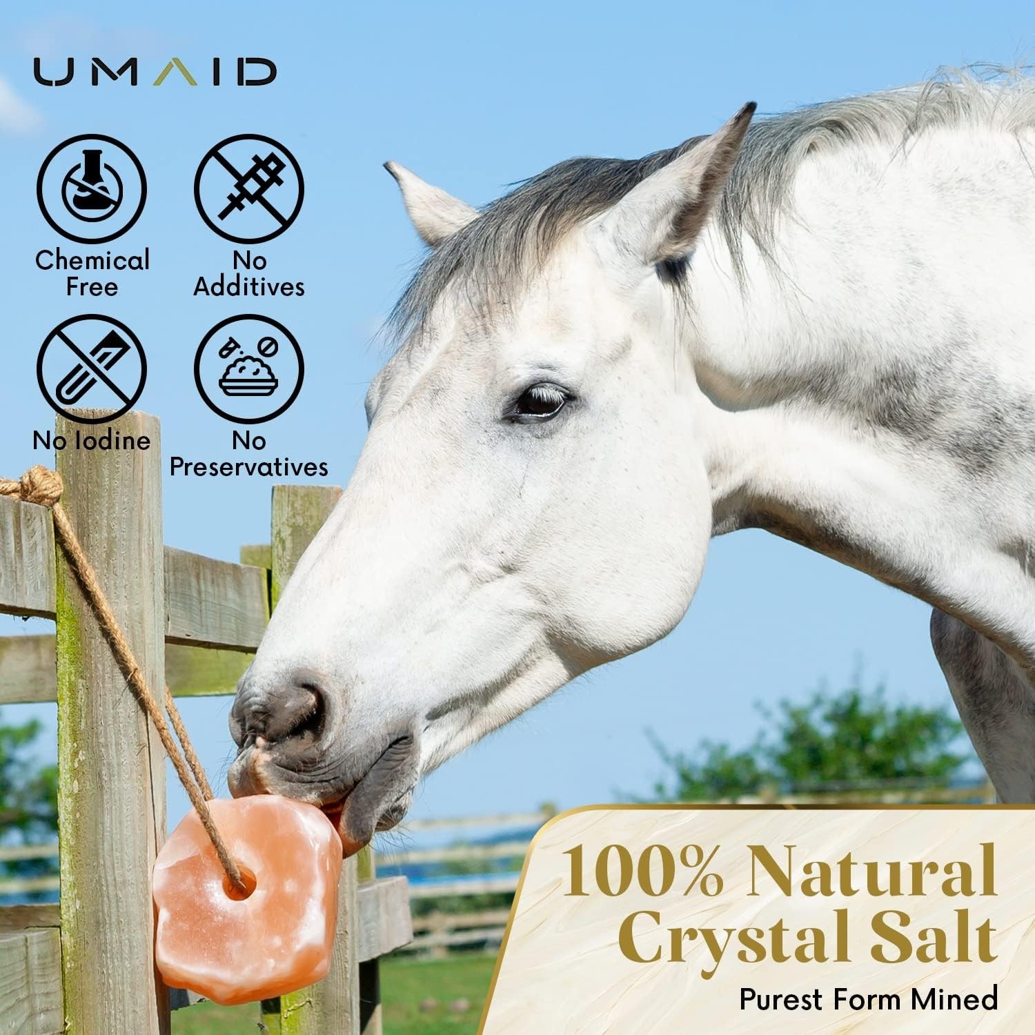 Himalayan Salt Lick 6 lbs on Rope for Horses Deer Goats Livestock 2 Pack