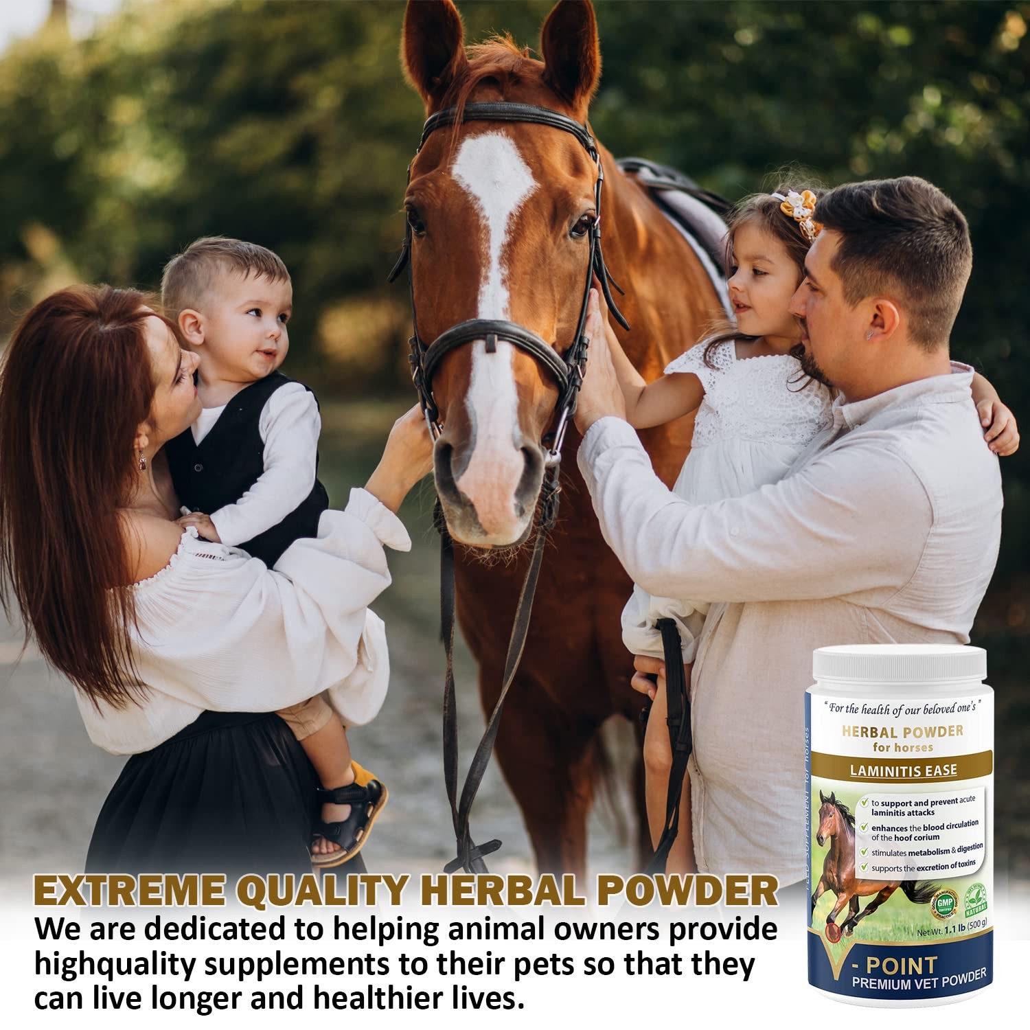 V-POINT – Laminitis Ease – hoof Supplements for Horses – Horse hoof Care Prod…