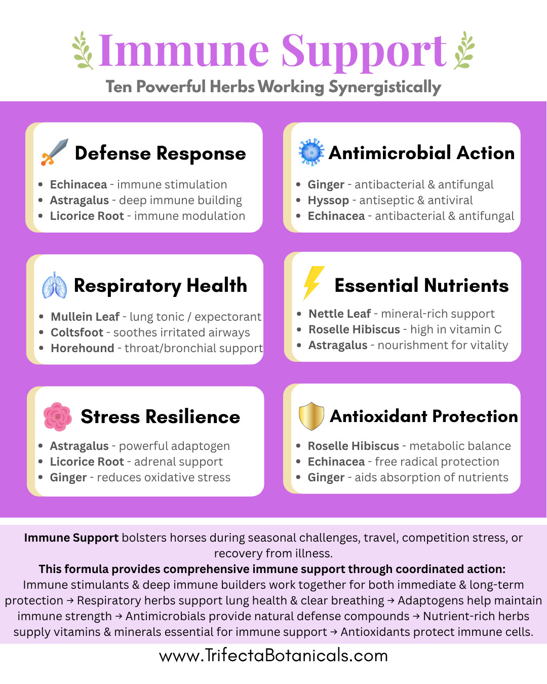 Immune Support Herbal Horse Supplement – Fast Acting Natural Herbs for Horses