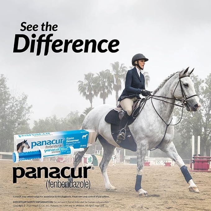 (3 Pack) PANACUR Dewormer Horse Paste 10%, 100mg Each White