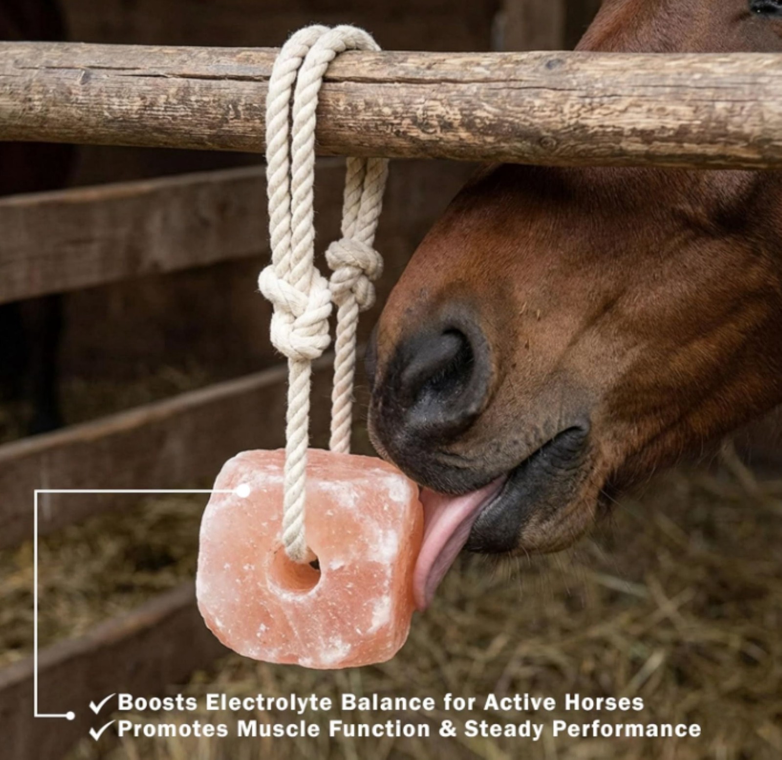 (3 pack) Organic Pink Himalayan Salt Lick – Equine