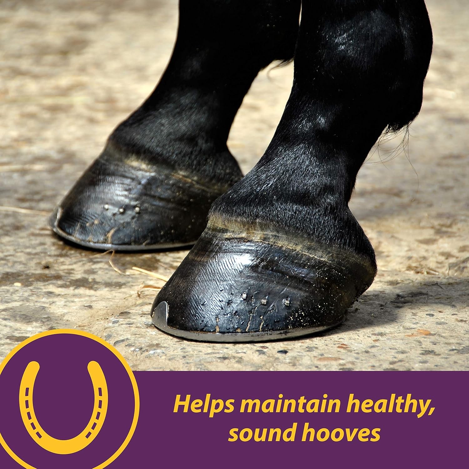 Vita Biotin Crumbles Horse Hoof Supplement Biotin Supplement Supports Healthy