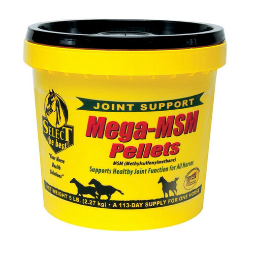 Mega-Msm Horse Joint Supplement 5 Lbs