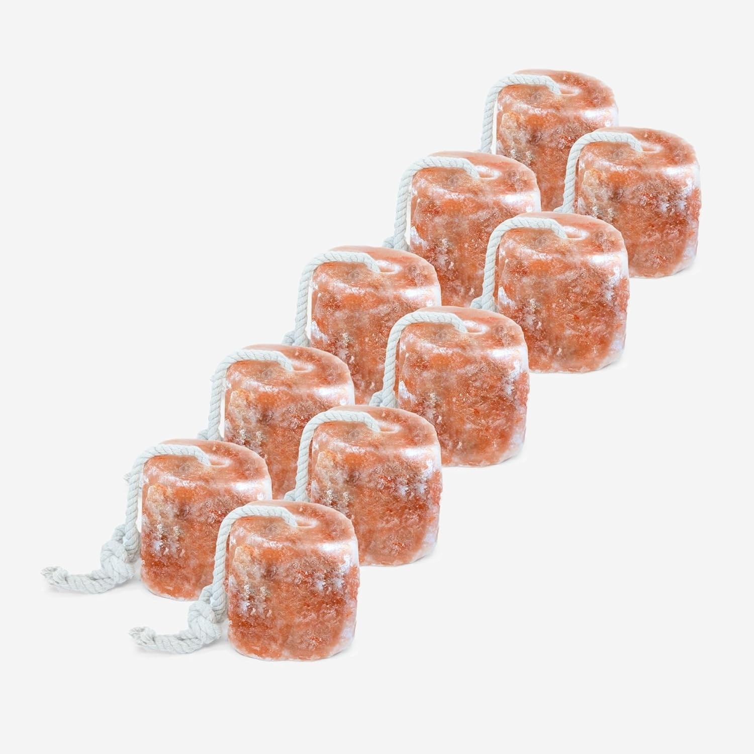 2lb Himalayan Salt Lick Block with Rope – 10 Pack for Horses & Livestock