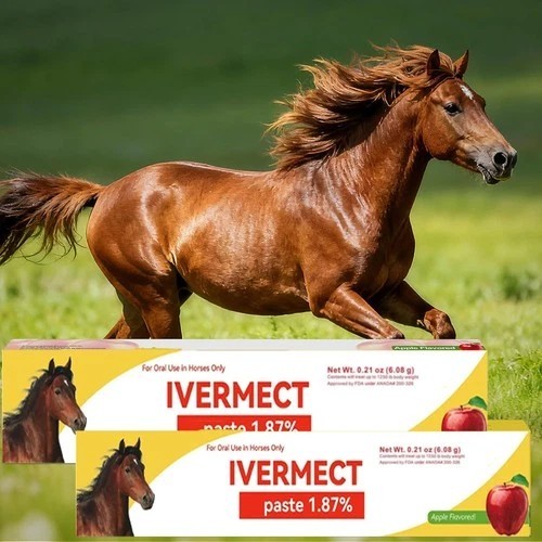 12 Pack New Paste Wormer Horse Dewormer Apple Flavor US Free Shipping