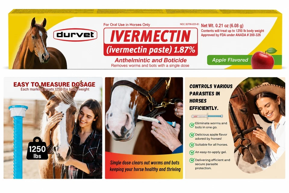 10 Pack New Paste Wormer Horse Dewormer Apple Flavor US Free Shipping EXP01/2028