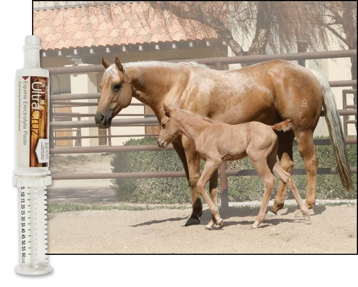 UltraCruz sc-516041 Equine Electrolyte Supplement for 60, Tan/Light Brown