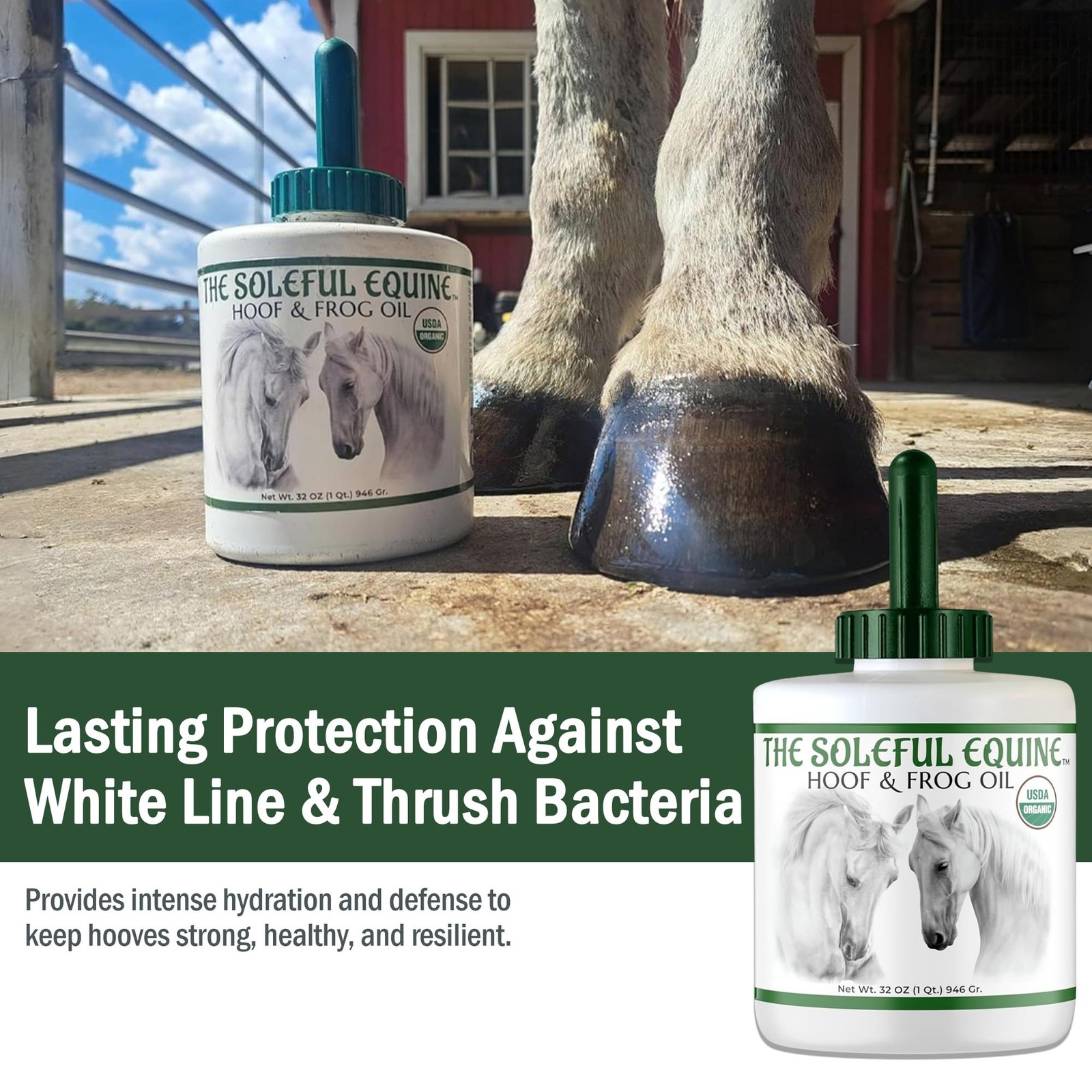 Hoof Oil, Horse Hoof White Line, Thrush, Abscesses, Overall Hoof Strength, Gr…