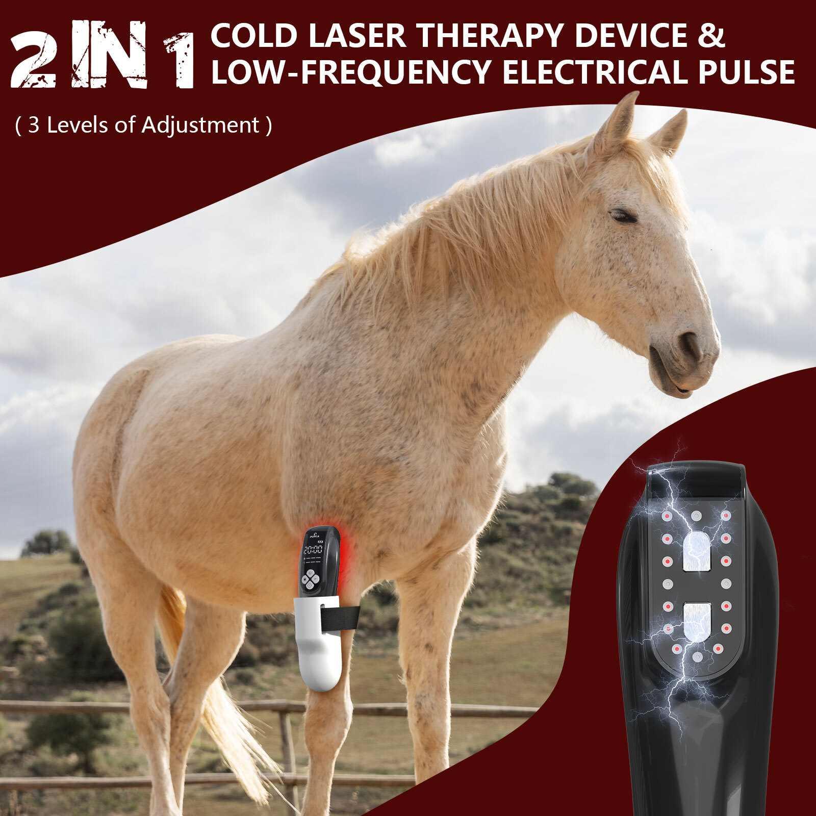 Equine Canine Infrared light Therapy Horse Dog Red Cold Laser Rehab Device Home