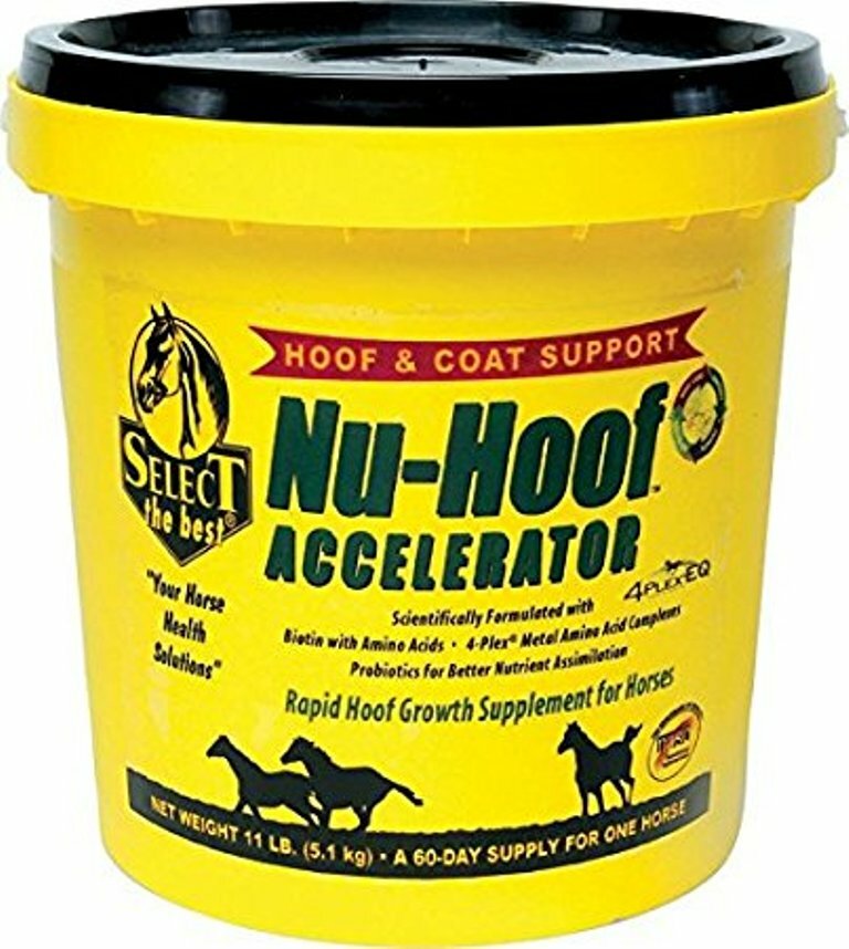 Nu-Hoof Accelerator Hoof & Coat Support for Horses 11 Pounds