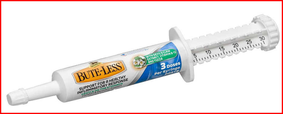 Bute-Less Long-Term Horse Comfort & Recovery Supplement Paste, Gentle on Stom…