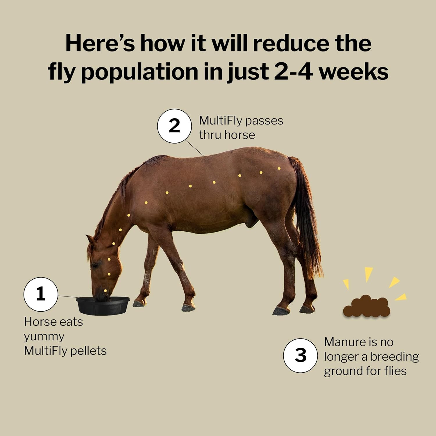 Multifly Feed-Thru Fly Control Pellets for Horses – Palatable & Safe Fly Populat
