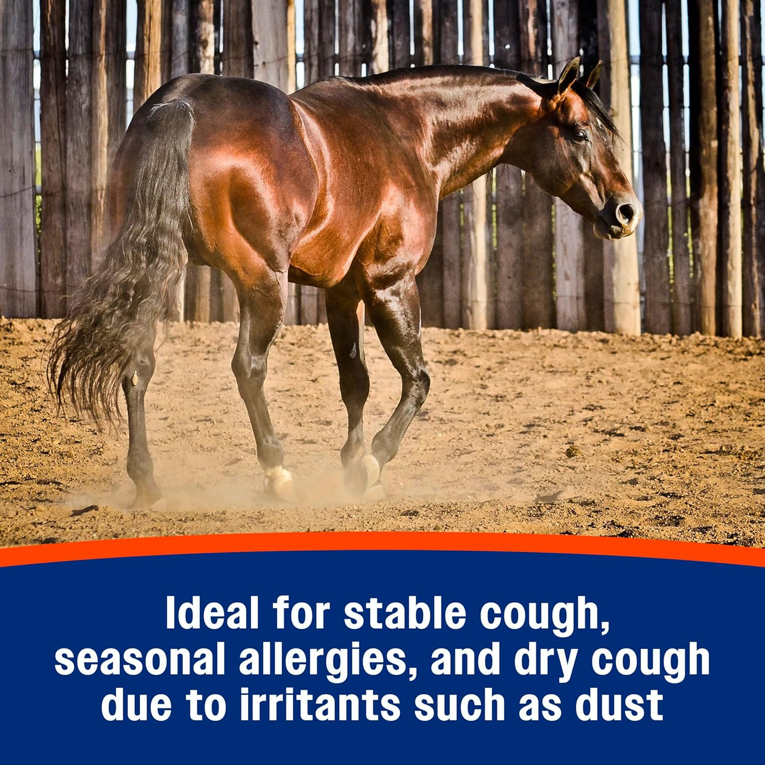 Cough Free Horse Supplement Pellets, Respiratory Support for Seasonal Allergies,