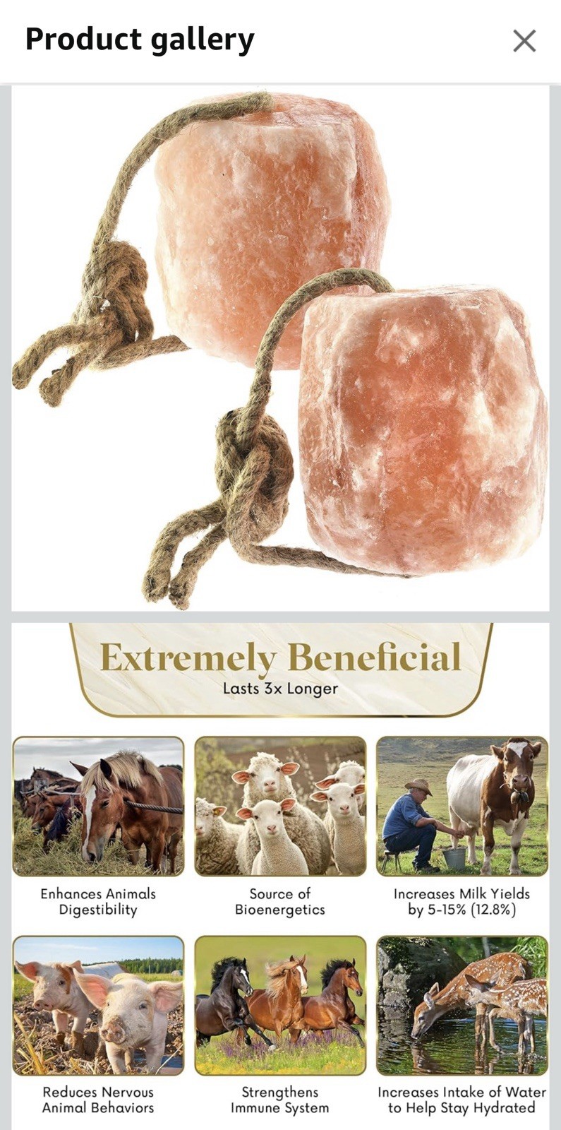 Salt Lick 6lb Himalayan Animal Block & ROPE 2,4 & MORE Horse Cow Deer AFFORDABLE